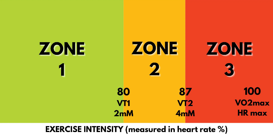 Gráfico de zonas de intensidad de ejercicio según frecuencia cardíaca. Skinner